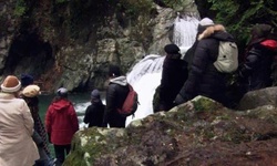 Movie image from Twin Falls  (Lynn Canyon Park)