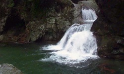 Movie image from Twin Falls  (Lynn Canyon Park)