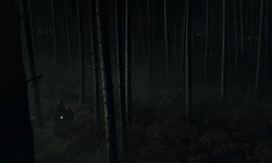 Movie image from Forbidden Forest