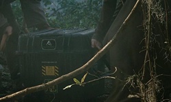 Movie image from Jungle