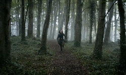 Movie image from Gosford Forest Park