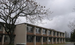 Real image from Henry Esson Young Building  (Riverview Hospital)