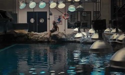 Movie image from Georgia Aquarium