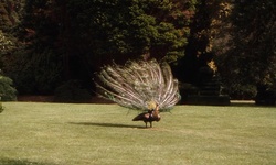 Movie image from Hallucinogen Hall (hedge maze)