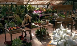 Movie image from Southlands Nursery