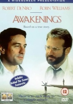 Poster Despertares 1990
