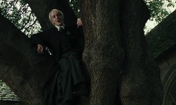 Movie image from Hogwarts (grande quadra)