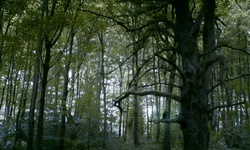 Movie image from Gosford Forest Park