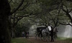 Movie image from Stanley Park