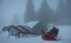Movie image from Grouse Mountain