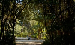 Movie image from Trsteno Arboretum