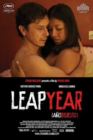 Poster Leap Year 2010