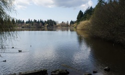 Real image from Lost Lagoon (Stanley Park)