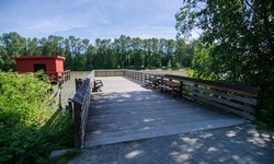 Real image from Fort-to-Fort Trail (near Douglas Street)