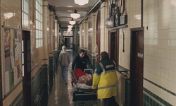 Movie image from Trafalgar Hospital