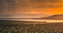 Poster Uganda