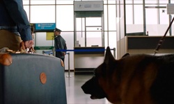 Movie image from Marco Polo Airport (customs)