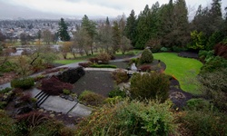 Real image from Queen Elizabeth Park