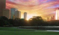 Movie image from Royal Botanic Gardens - The Mare & Foal Lawn