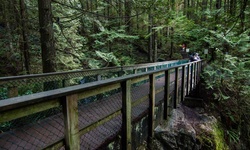 Real image from Twin Falls  (Lynn Canyon Park)