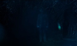 Movie image from Nouvelle forêt de l'île d'Eastdale