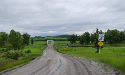 Real image from Ponte de Bragg Creek