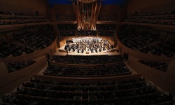 Movie image from Disney Hall