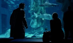 Movie image from London Aquarium