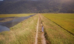Movie image from Chemin au-delà de la route Koerner