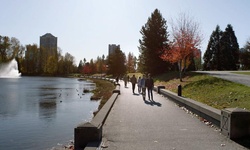 Movie image from Town Centre Park