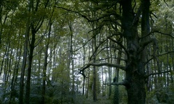Movie image from Лесной парк Госфорда