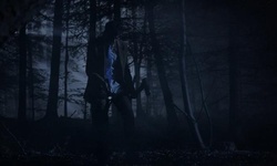 Movie image from Forest