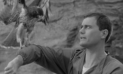 Movie image from Point Dume & Westward Beach