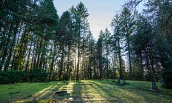 Real image from North Vancouver Cemetery