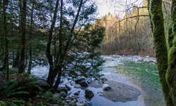 Real image from 30 Foot Pool  (Lynn Canyon Park)