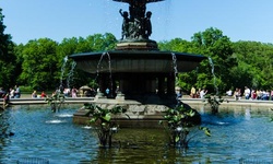 Real image from Bethesda Terrace (Central Park)