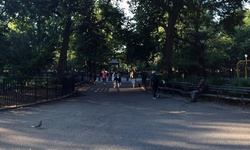 Real image from Parc de Tompkins Square