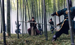 Movie image from Tea Mountain Bamboo Forest