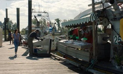 Movie image from Steveston Harbour