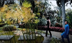 Movie image from Botanical Gardens