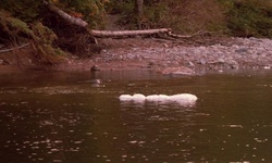 Movie image from Ветреная река