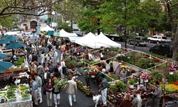 Movie image from Fruit and vegetable market