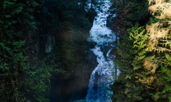 Real image from Lynn Canyon Park