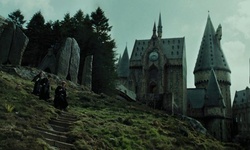 Movie image from Hagrid's Hut