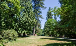 Real image from Stanley Park