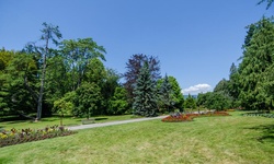 Real image from Pavilion Rose Garden  (Stanley Park)