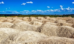 Real image from Bornitsky quarry