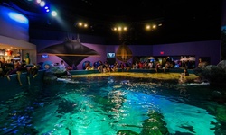 Real image from Ripley's Aquarium of Canada