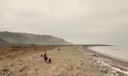 Movie image from Iona Beach