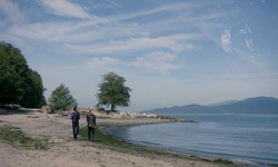 Movie image from Spanish Banks Dog Beach